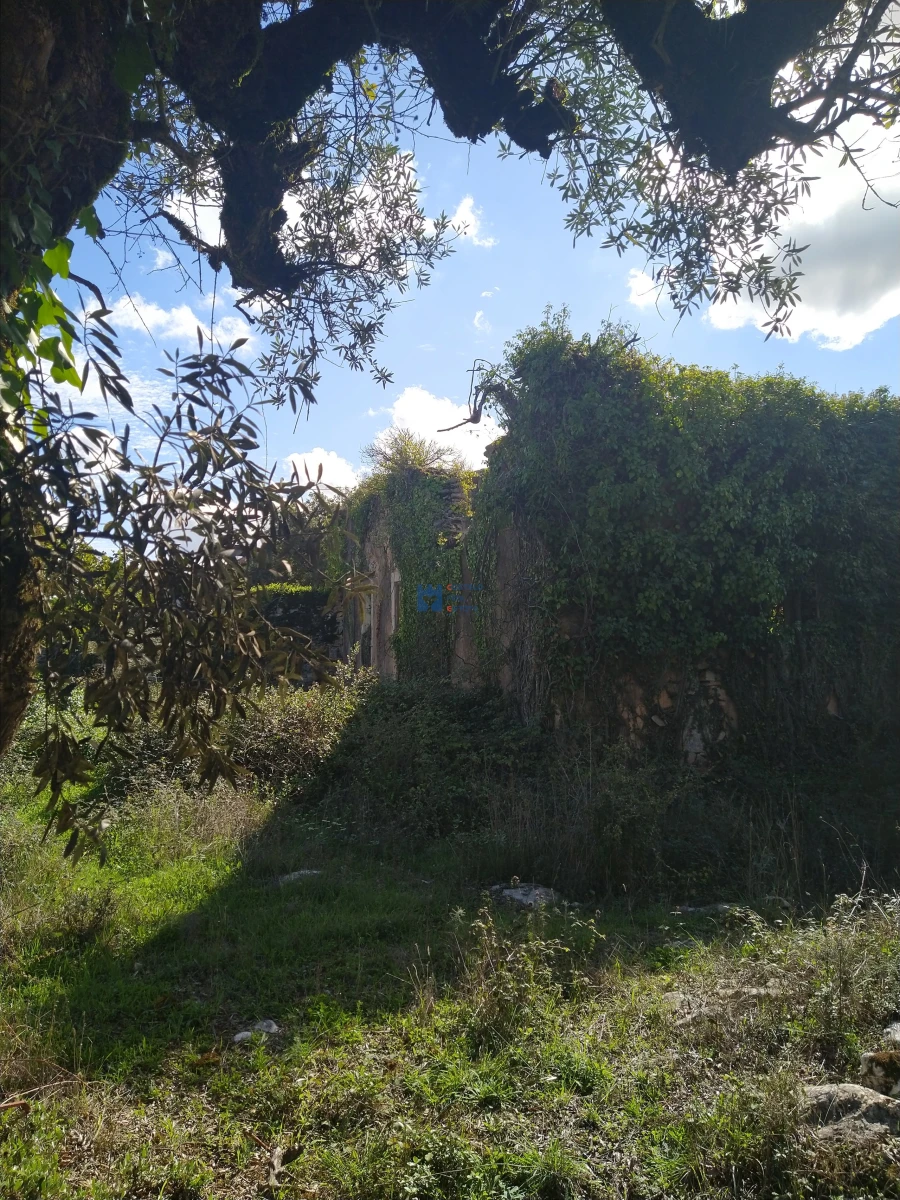 Terreno para Venda em Fatima Foto 9
