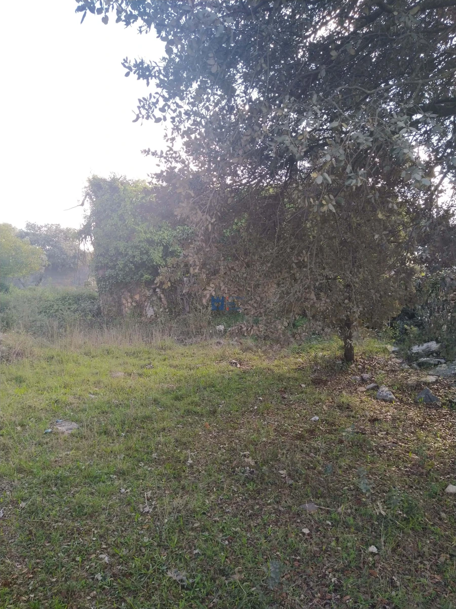 Terreno para Venda em Fatima Foto 10