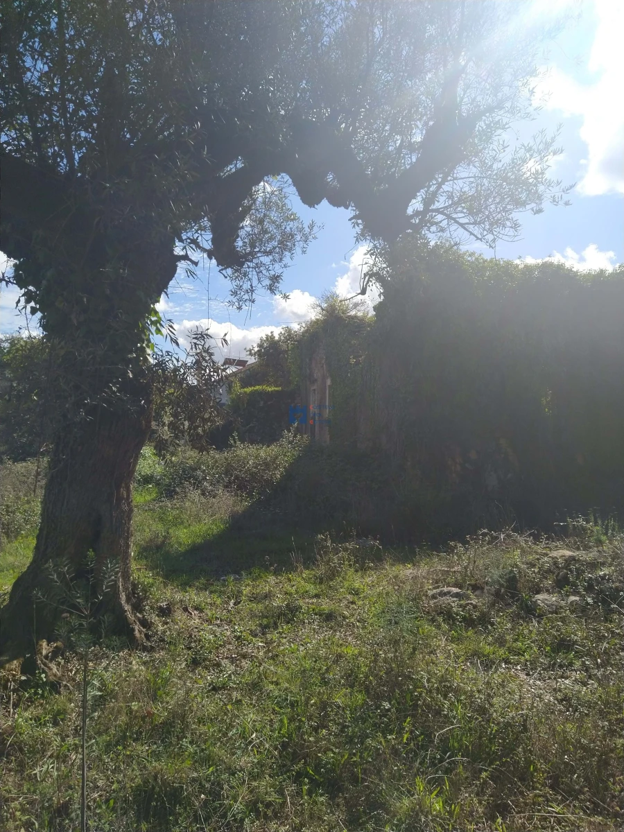 Terreno para Venda em Fatima Foto 8