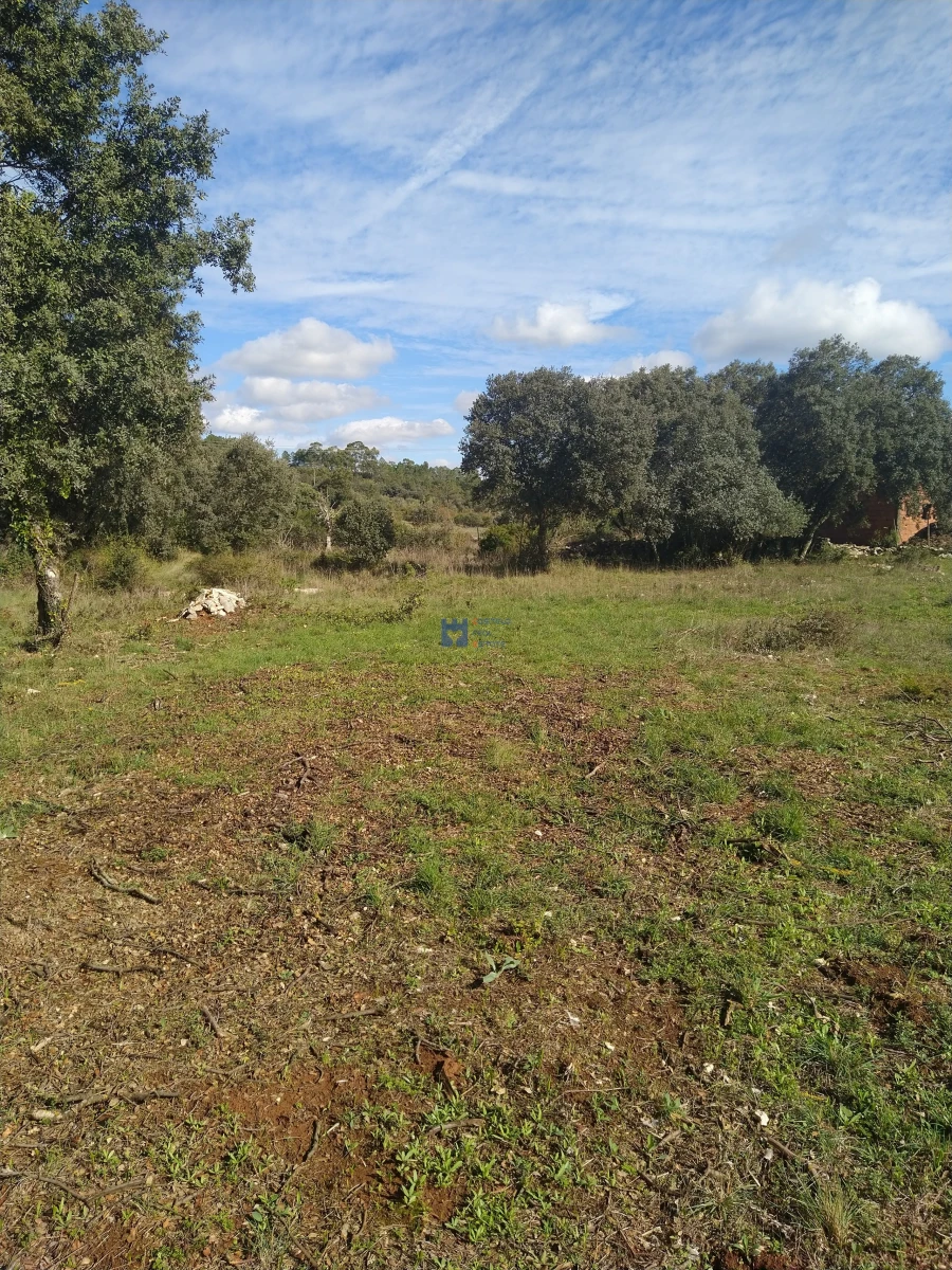 Terreno para Venda em Fatima Foto 4