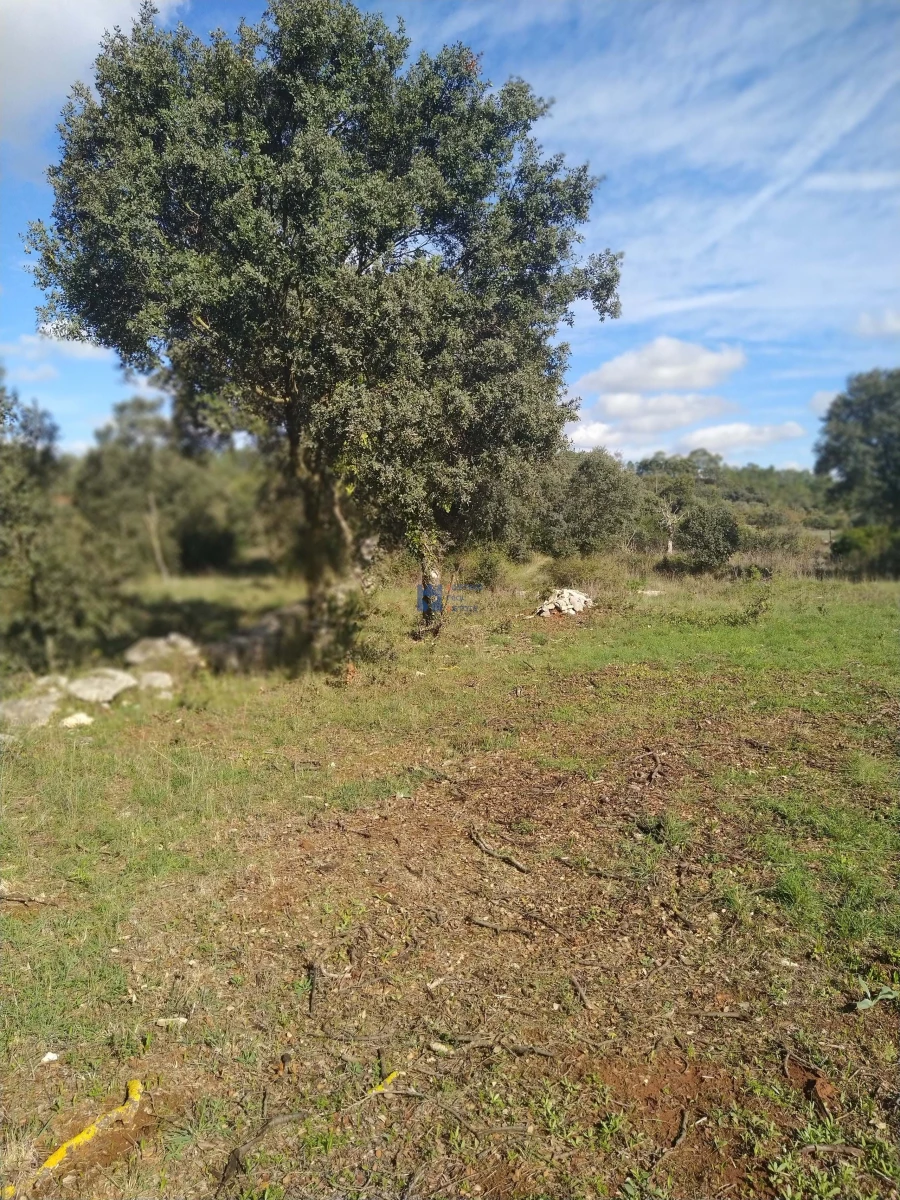 Terreno para Venda em Fatima Foto 3
