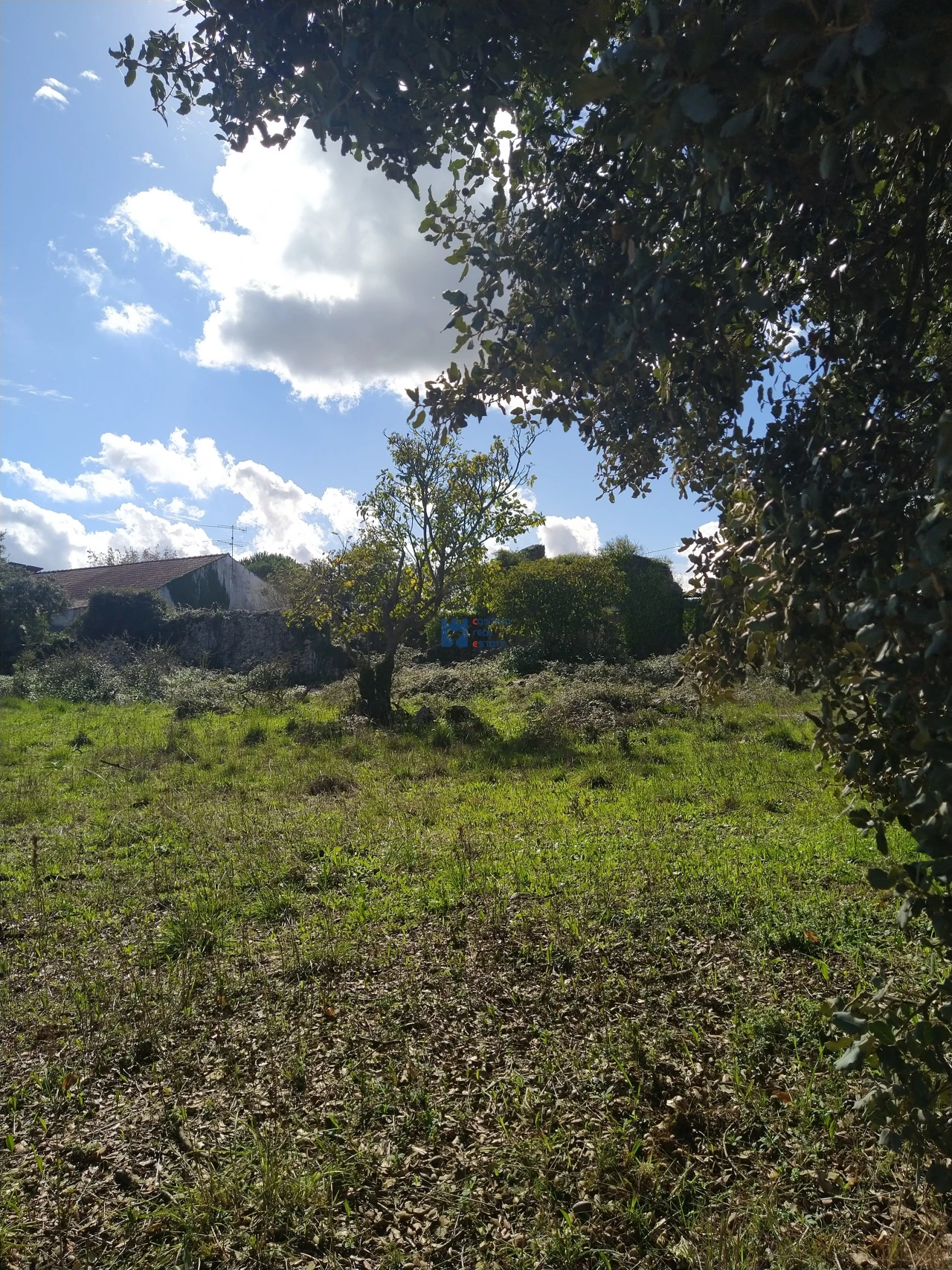 Terreno para Venda em Fatima Foto 5