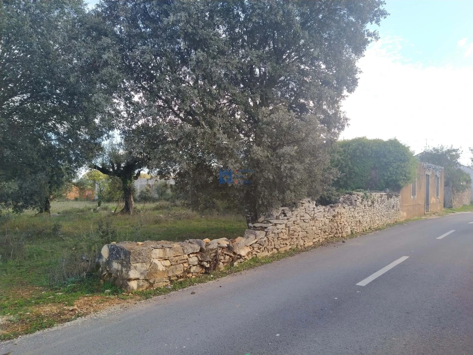 Terreno para Venda em Fatima Foto 2