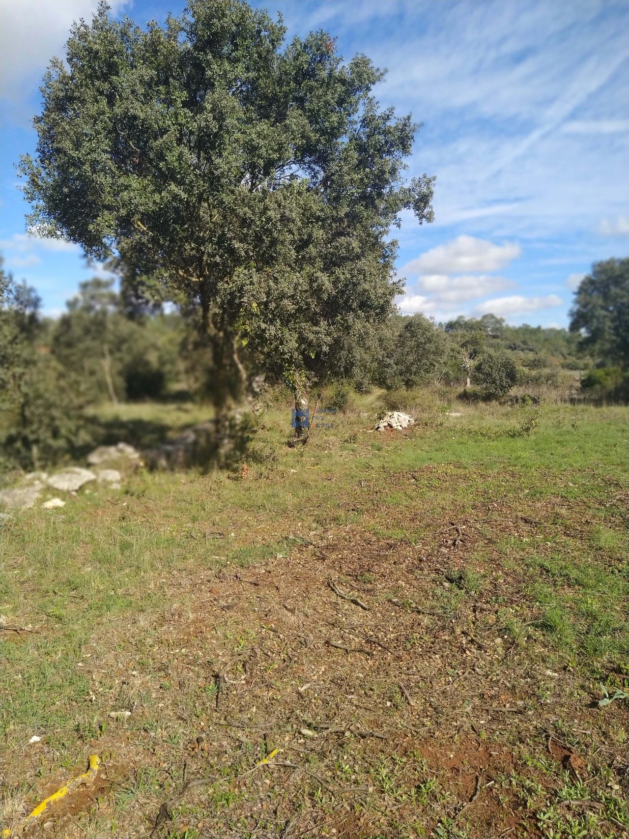 Terreno para Venda em Fatima Foto 3