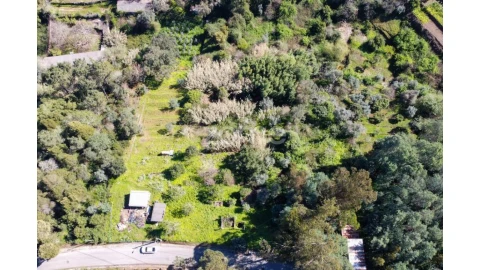 Terreno para Venda em Eiras e São Paulo de Frades