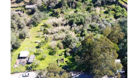 Terreno para Venda em Eiras e São Paulo de Frades
