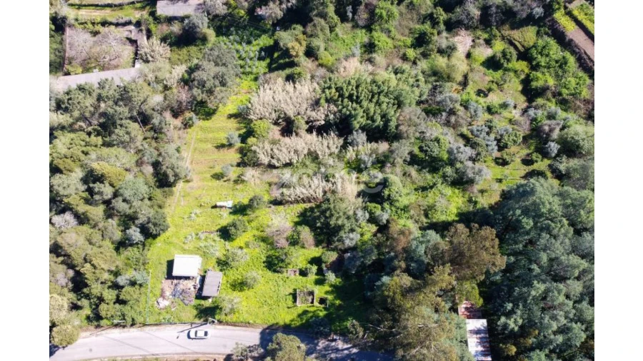 Terreno para Venda em Eiras e São Paulo de Frades Foto 11