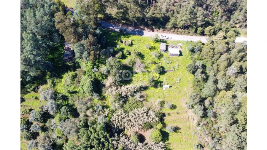Terreno para Venda em Eiras e São Paulo de Frades Foto 3