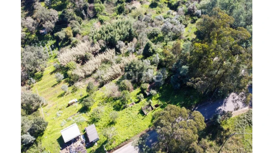 Terreno para Venda em Eiras e São Paulo de Frades Foto 12