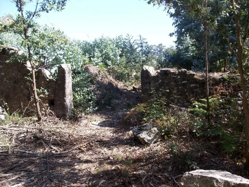 Terreno Agricola ou Rústico para Venda em Junqueira Foto 3