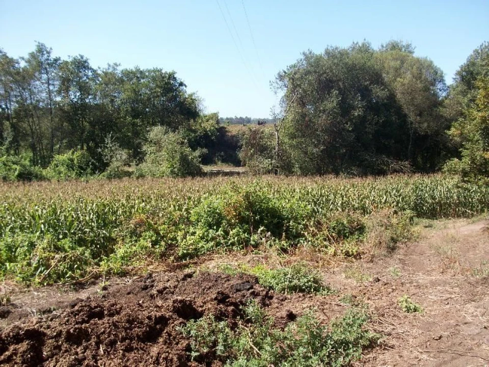Terreno Agricola ou Rústico para Venda em Junqueira Foto 7