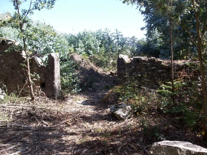 Terreno Agricola ou Rústico para Venda em Junqueira Foto 3