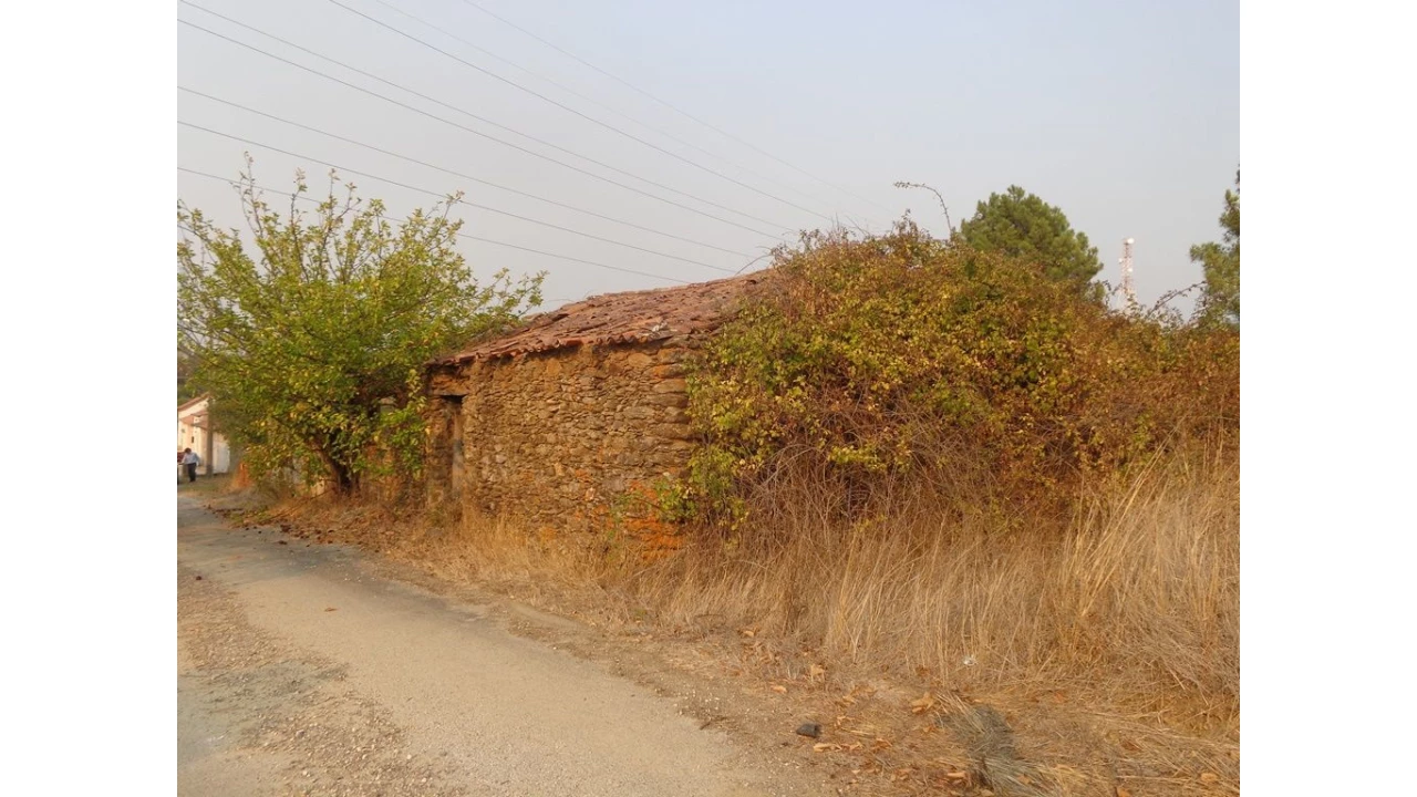 Quinta T0 para Venda em São Pedro de Tomar Foto 2