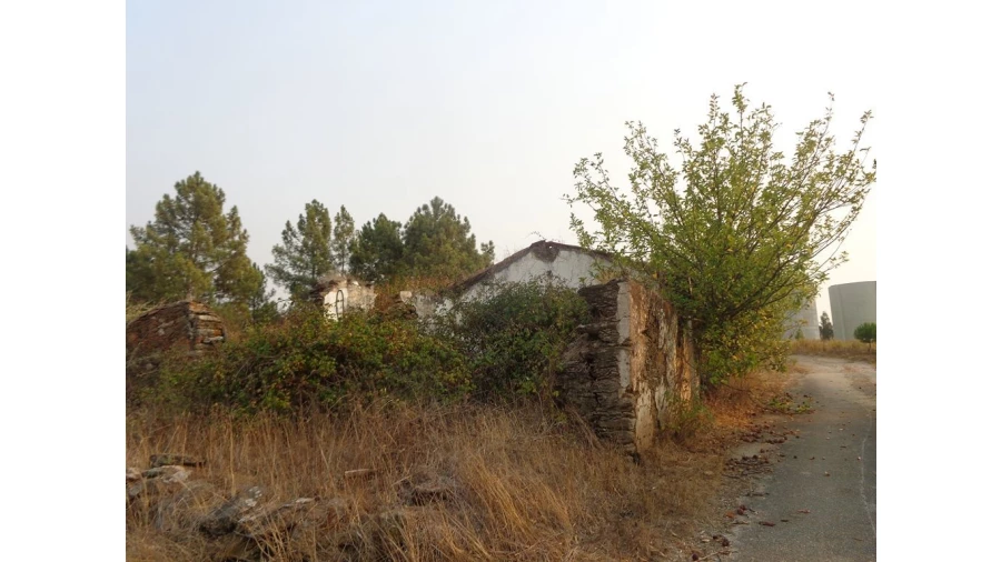 Quinta T0 para Venda em São Pedro de Tomar Foto 4