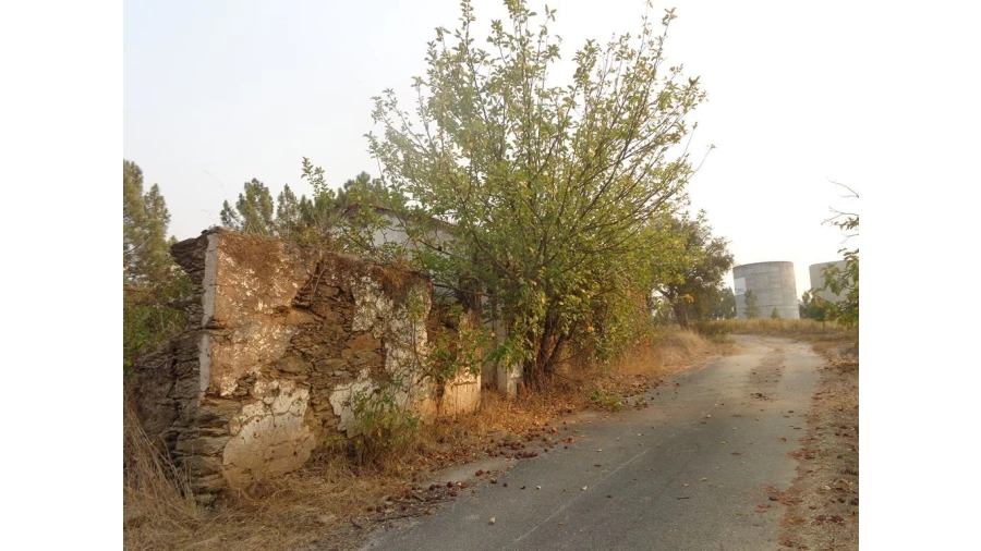Quinta T0 para Venda em São Pedro de Tomar Foto 3