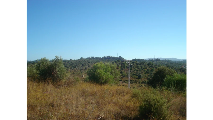 Terreno para Venda em Casais e Alviobeira Foto 2
