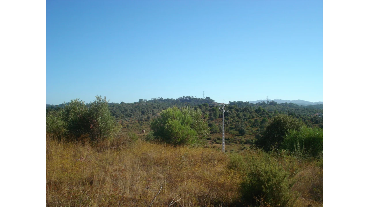 Terreno para Venda em Casais e Alviobeira Foto 2