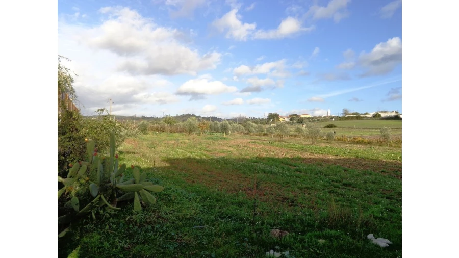 Quinta T0 para Venda em São Pedro de Tomar Foto 18