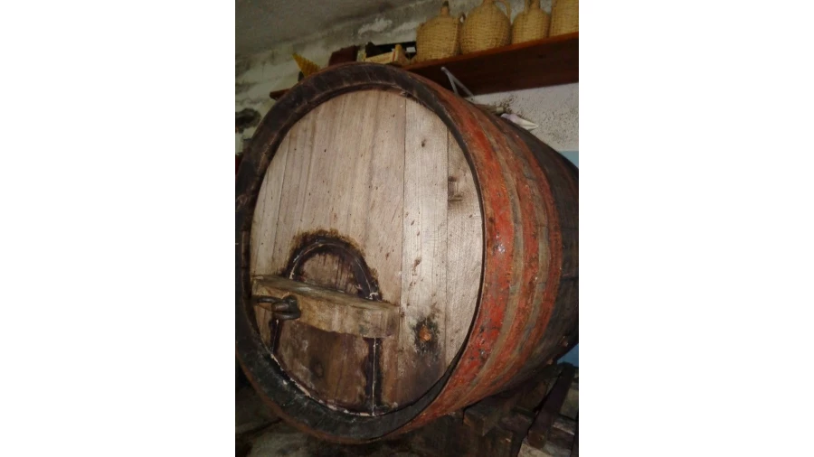 Quinta T0 para Venda em São Pedro de Tomar Foto 15