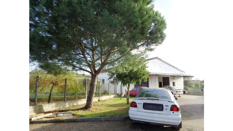 Quinta T0 para Venda em São Pedro de Tomar Foto 4