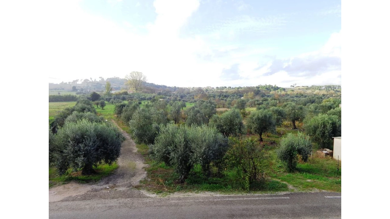 Quinta T0 para Venda em São Pedro de Tomar Foto 16