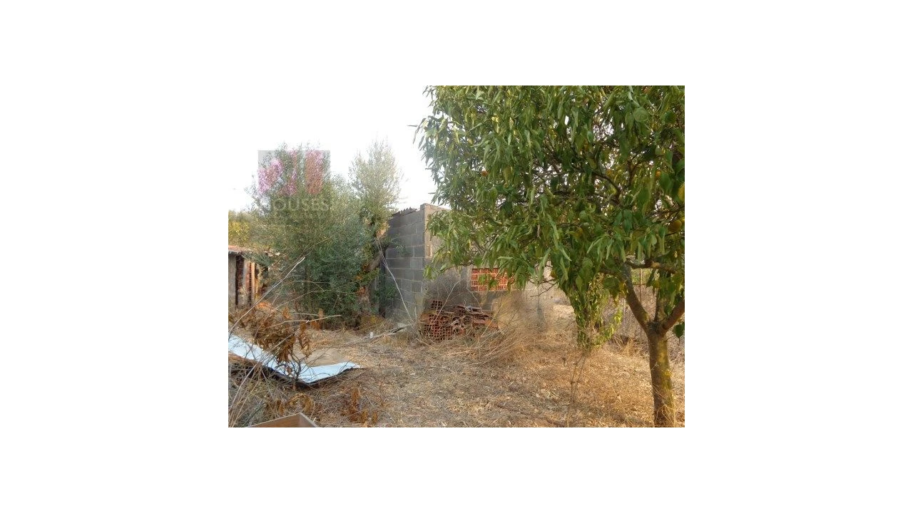 Quinta T0 para Venda em São Pedro de Tomar Foto 5