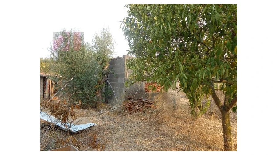 Quinta T0 para Venda em São Pedro de Tomar Foto 5