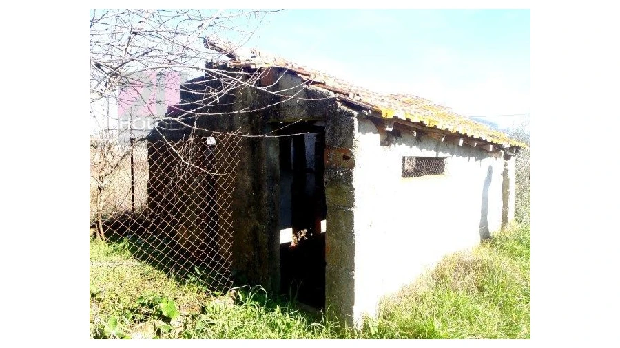 Moradia T0 para Venda em Freixianda, Ribeira do Fárrio e Formigais Foto 6