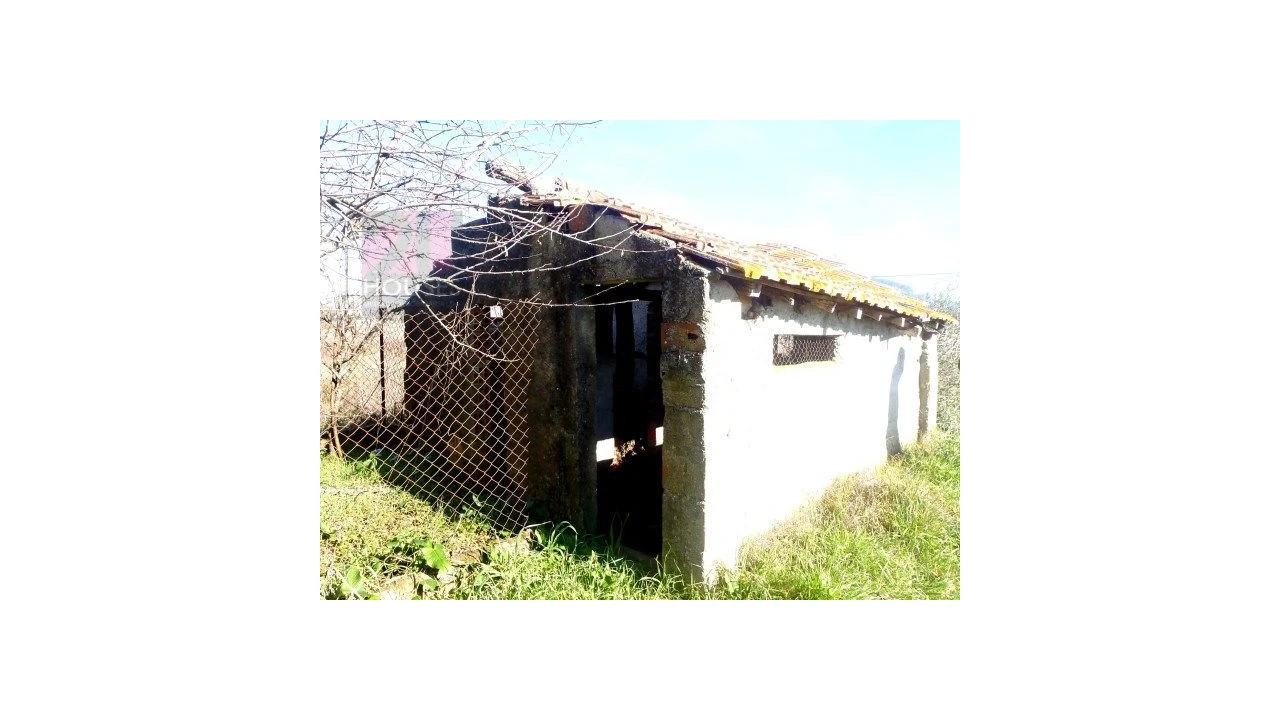 Moradia T0 para Venda em Freixianda, Ribeira do Fárrio e Formigais Foto 6