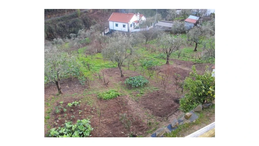 Quinta T0 para Venda em Pessegueiro Foto 20