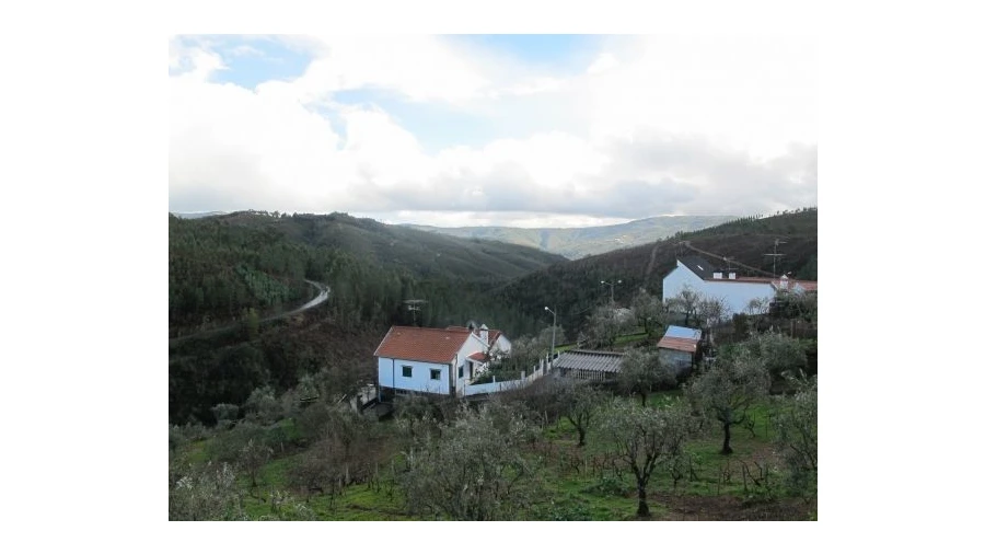 Quinta T0 para Venda em Pessegueiro Foto 19