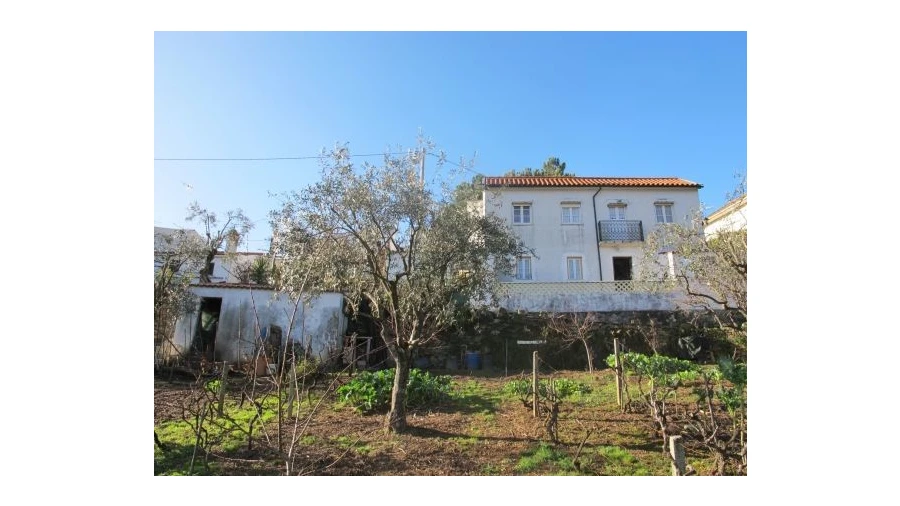 Quinta T0 para Venda em Pessegueiro