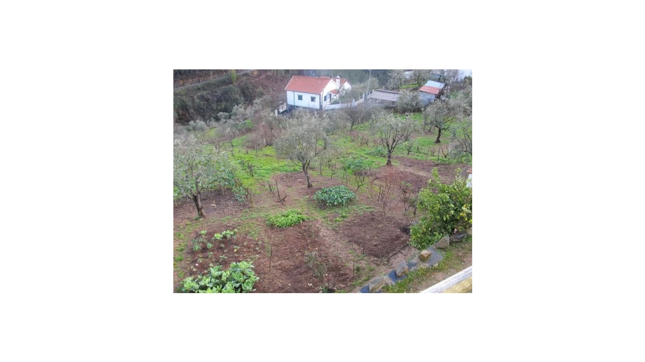 Quinta T0 para Venda em Pessegueiro Foto 20