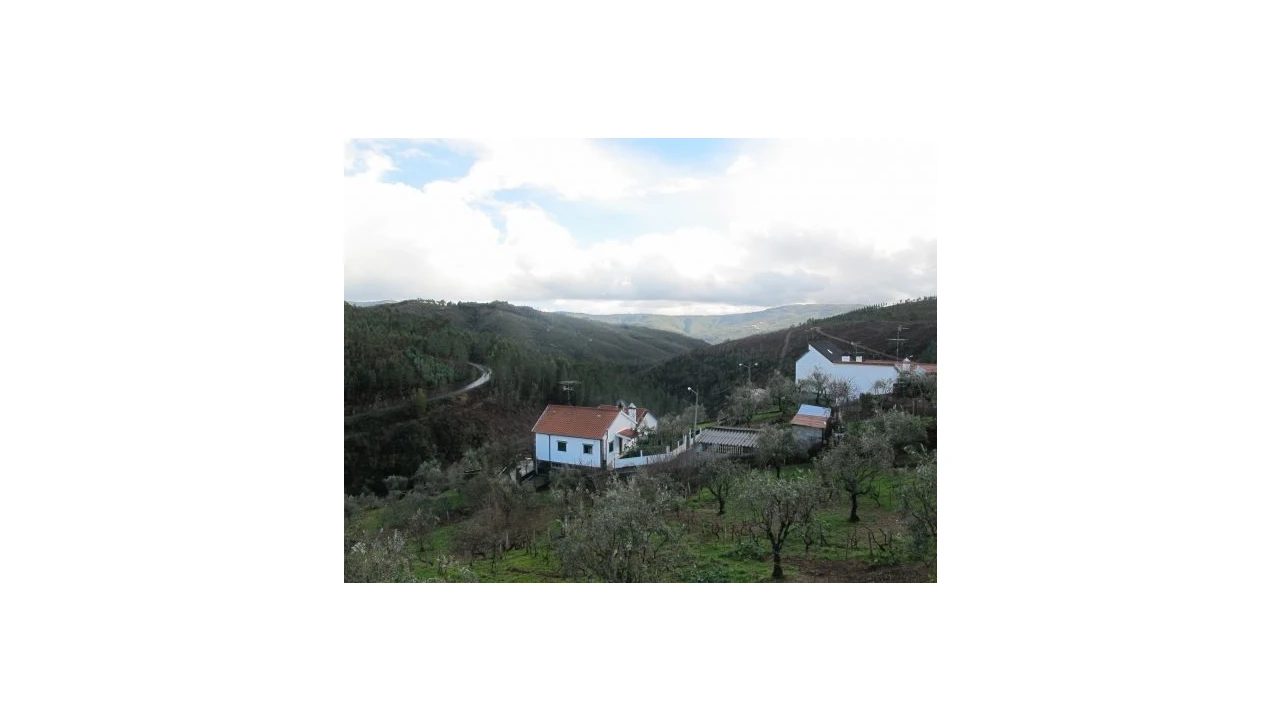 Quinta T0 para Venda em Pessegueiro Foto 19