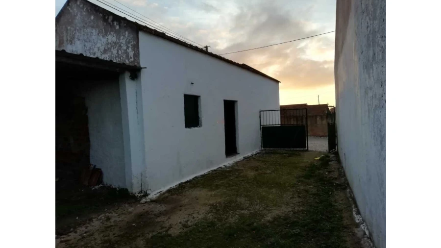 Armazém para Venda em Lamas e Cercal Foto 7