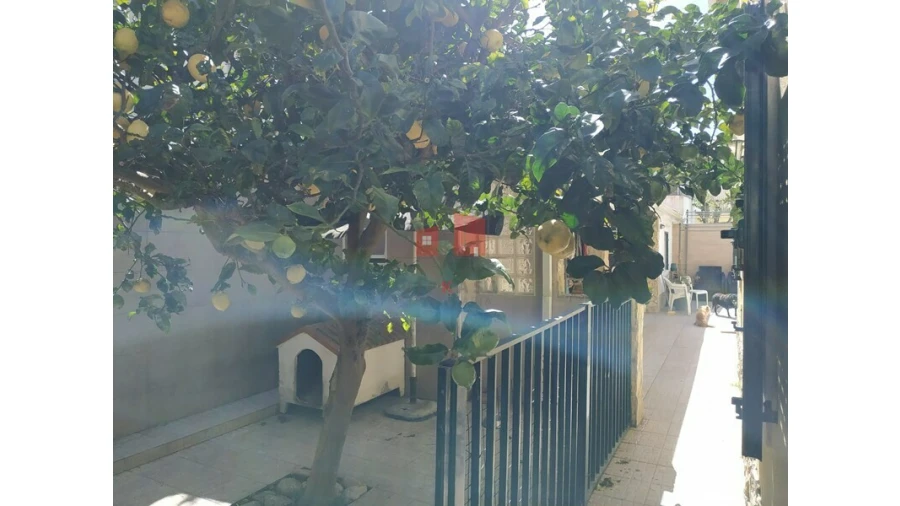 Moradia T5 para Venda em Ericeira Foto 10