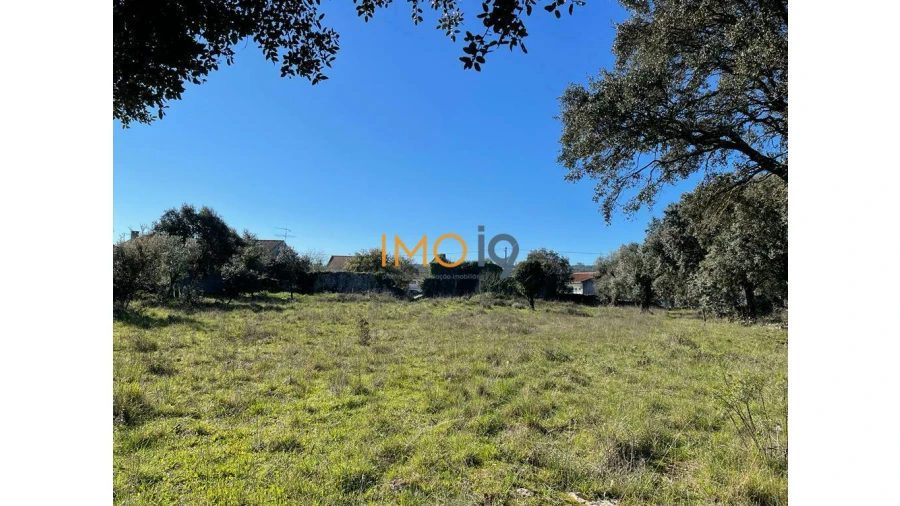 Quinta T0 para Venda em Fatima Foto 16