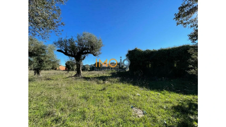 Quinta T0 para Venda em Fatima Foto 10