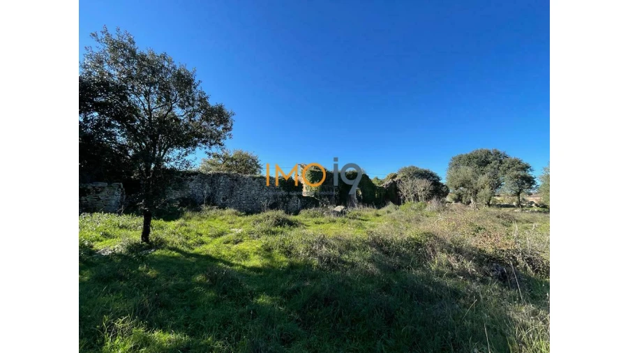 Quinta T0 para Venda em Fatima Foto 14