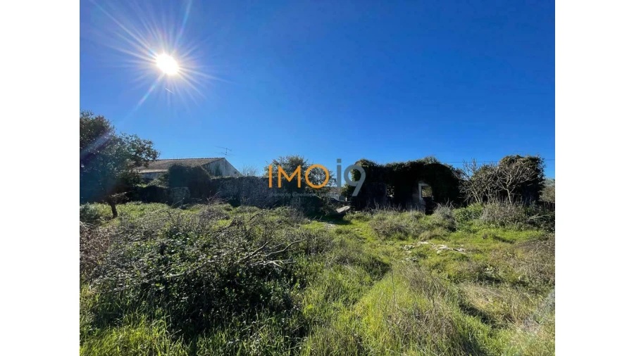 Quinta T0 para Venda em Fatima Foto 13