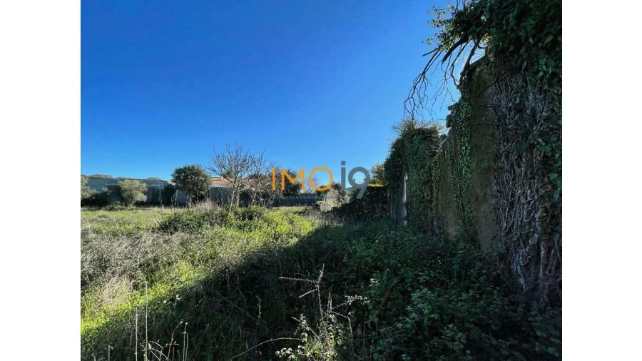 Quinta T0 para Venda em Fatima Foto 11