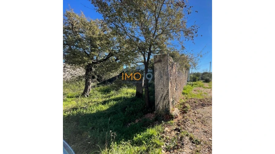 Quinta T0 para Venda em Fatima Foto 4