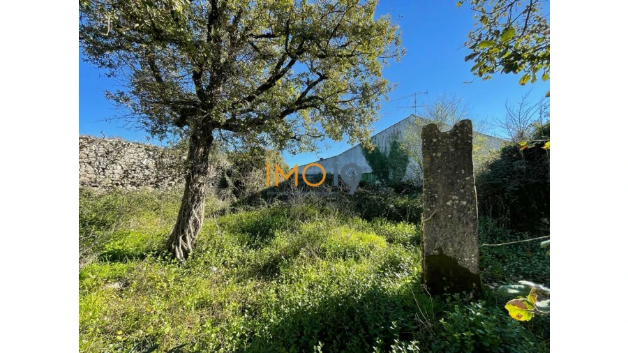 Quinta T0 para Venda em Fatima Foto 6