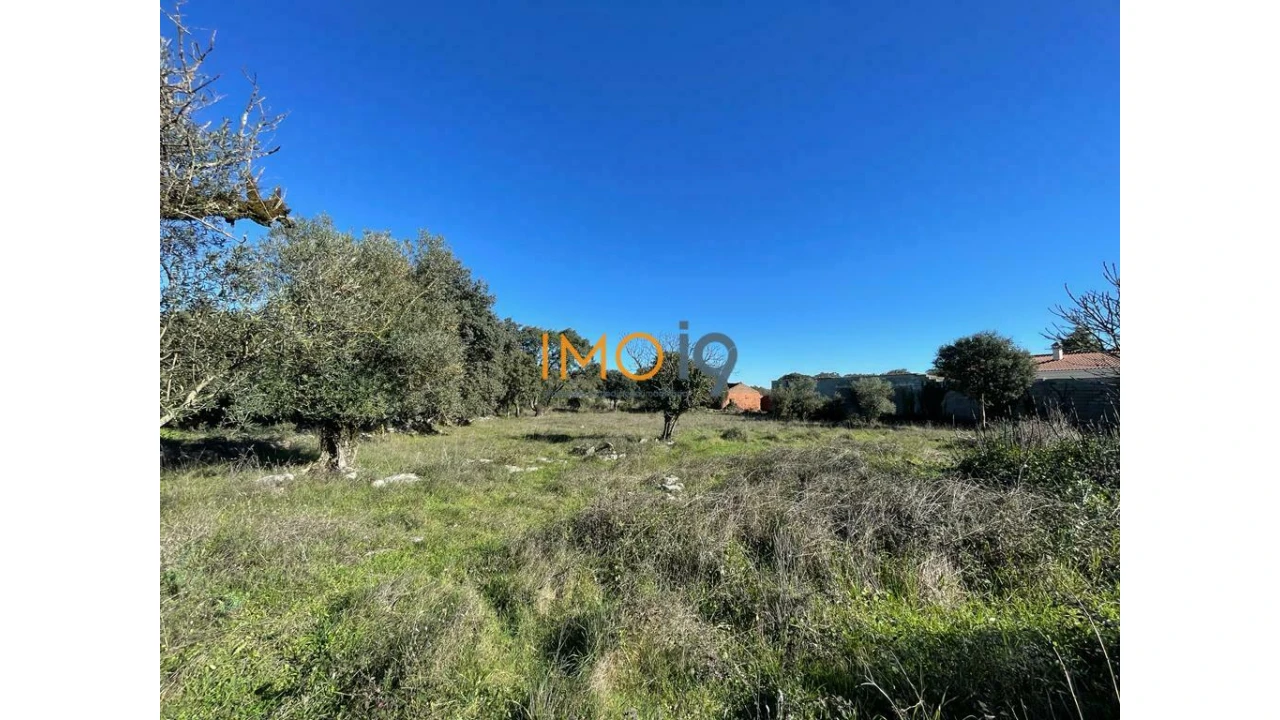 Quinta T0 para Venda em Fatima Foto 12