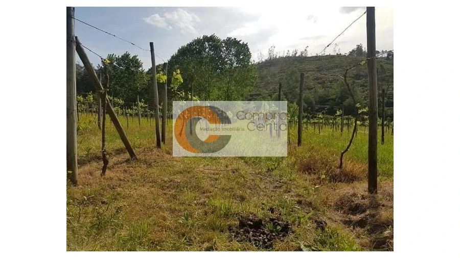 Quinta T7 para Venda em Arosa e Castelões Foto 7