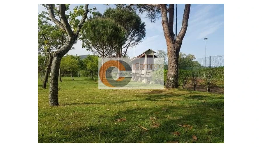 Quinta T7 para Venda em Arosa e Castelões Foto 15