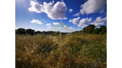 Moradia T3 para Venda em Sesimbra (Castelo)