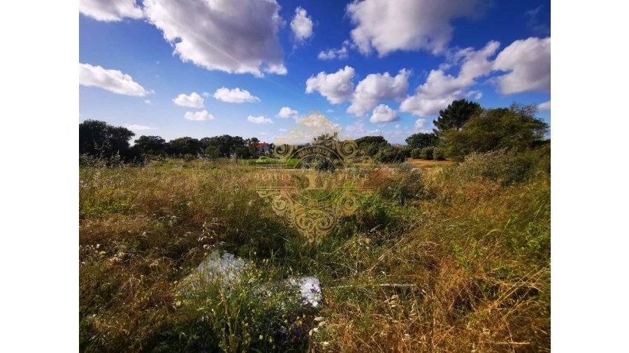 Moradia T3 para Venda em Sesimbra (Castelo) Foto 6