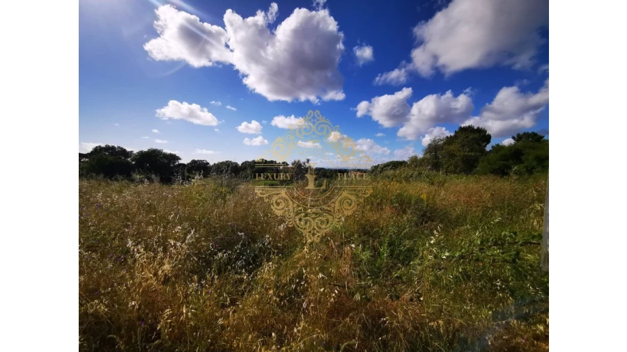 Moradia T3 para Venda em Sesimbra (Castelo) Foto 8