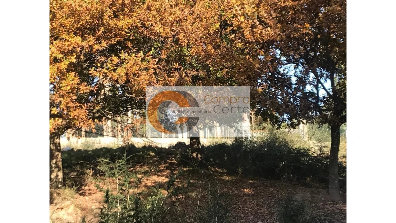 Quinta T3 para Venda em Infantas Foto 11